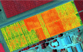 drone-multispectrale-1 Cartografia